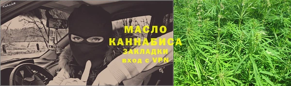 прущая мука Ельня