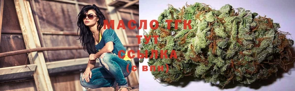 дмт Абаза