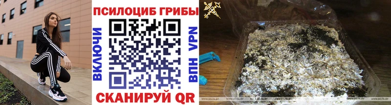 Галлюциногенные грибы GOLDEN TEACHER наркота shop формула Алатырь