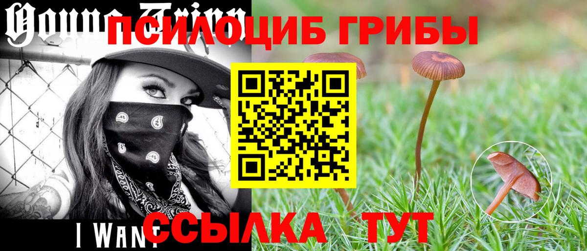 МЕФ Алатырь