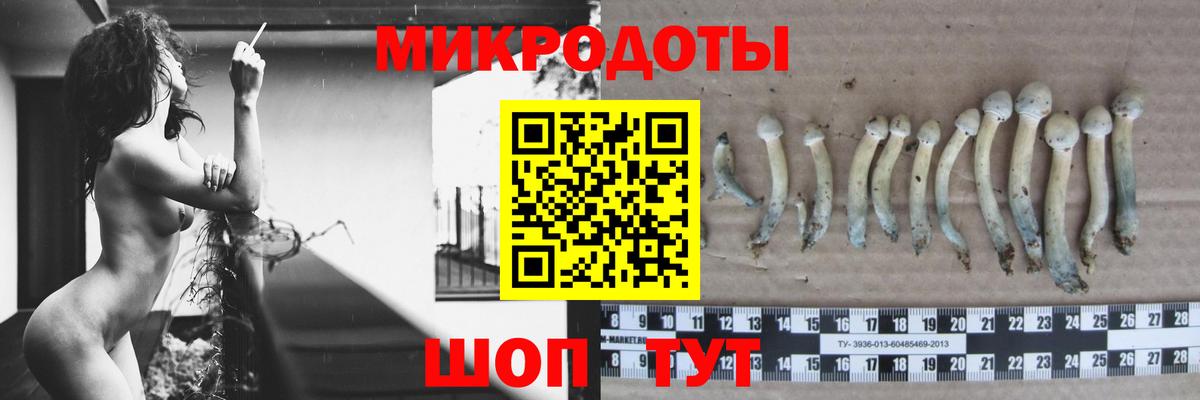 Галлюциногенные грибы Psilocybe  продажа наркотиков  Алатырь  Вход с VPN 